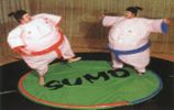 Sumo 2